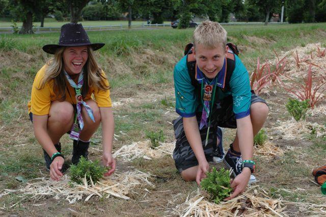 Scouts at NZ20 Jamboree - Service Project