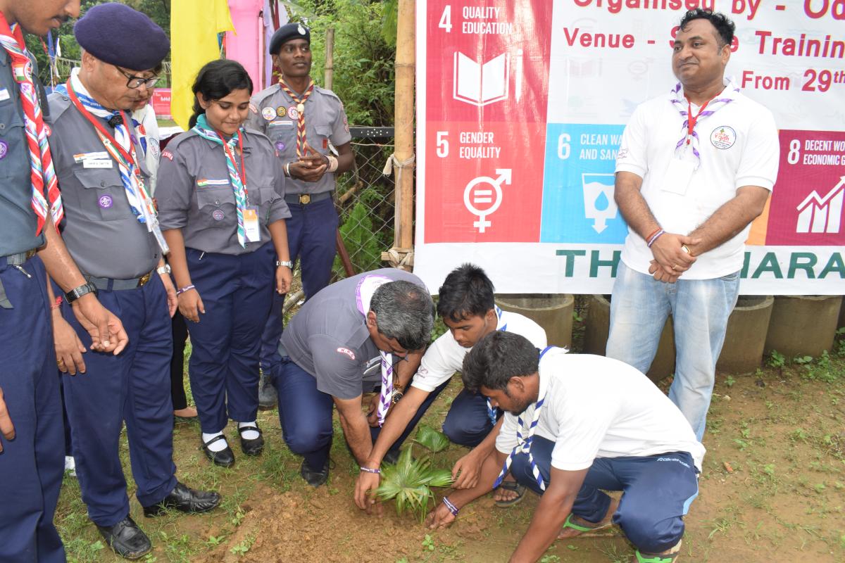 Tree Plantation Program