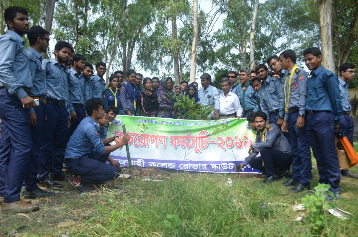 Tree plantation 