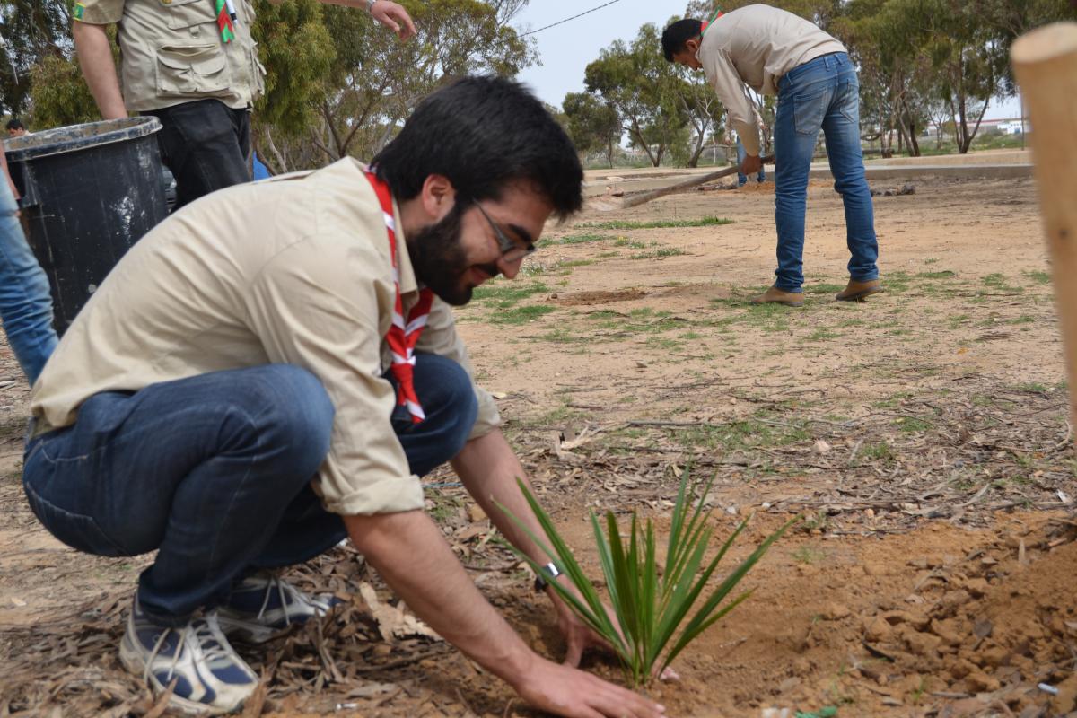 قاعدة وسام كشافي العالم بتونس تغرس 4700 شجرة  
