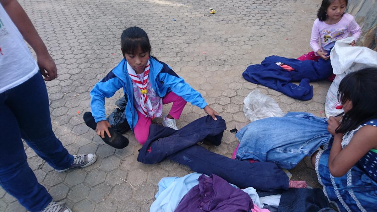 Aprendiendo a coser para los peluditos