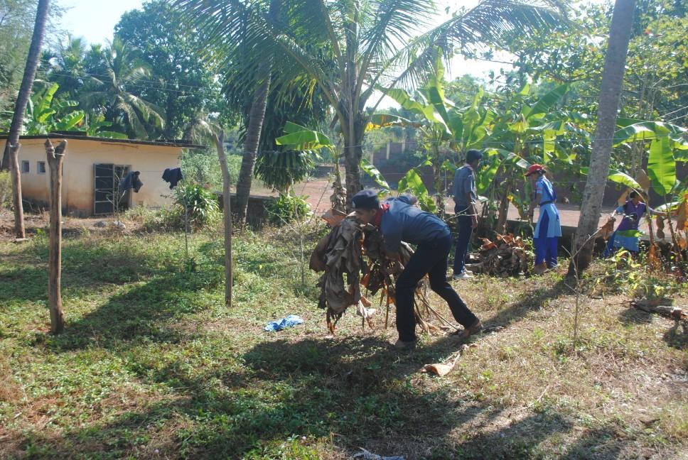 Community development