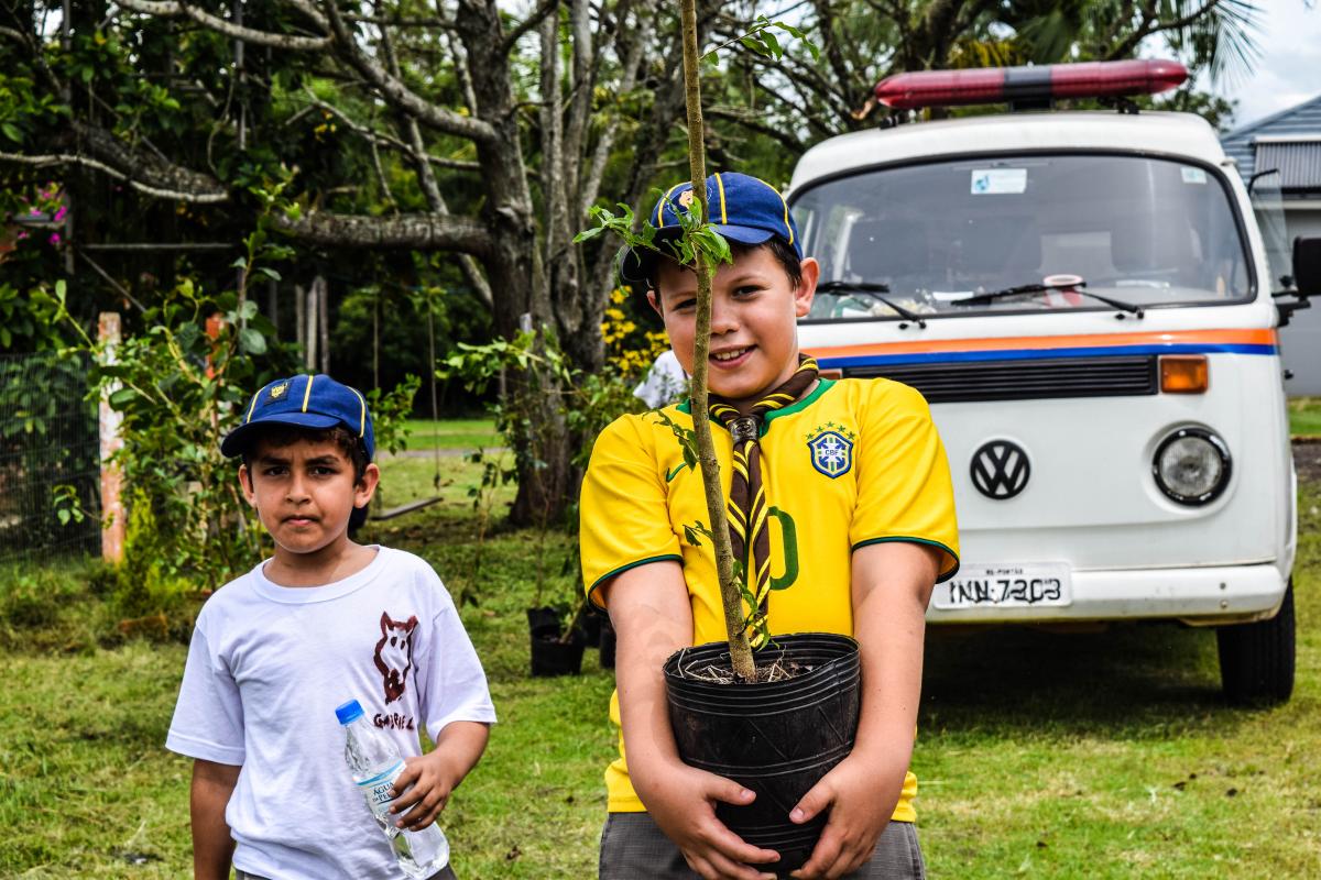 Trees for the world (Árvores para o mundo)