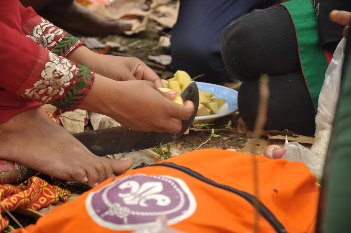 9th Bangladesh and 1st SAANSO (South Asian Association of National Scout Organization) Scout Jamboree