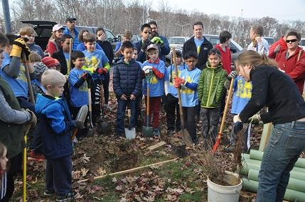 Native Tree Planting