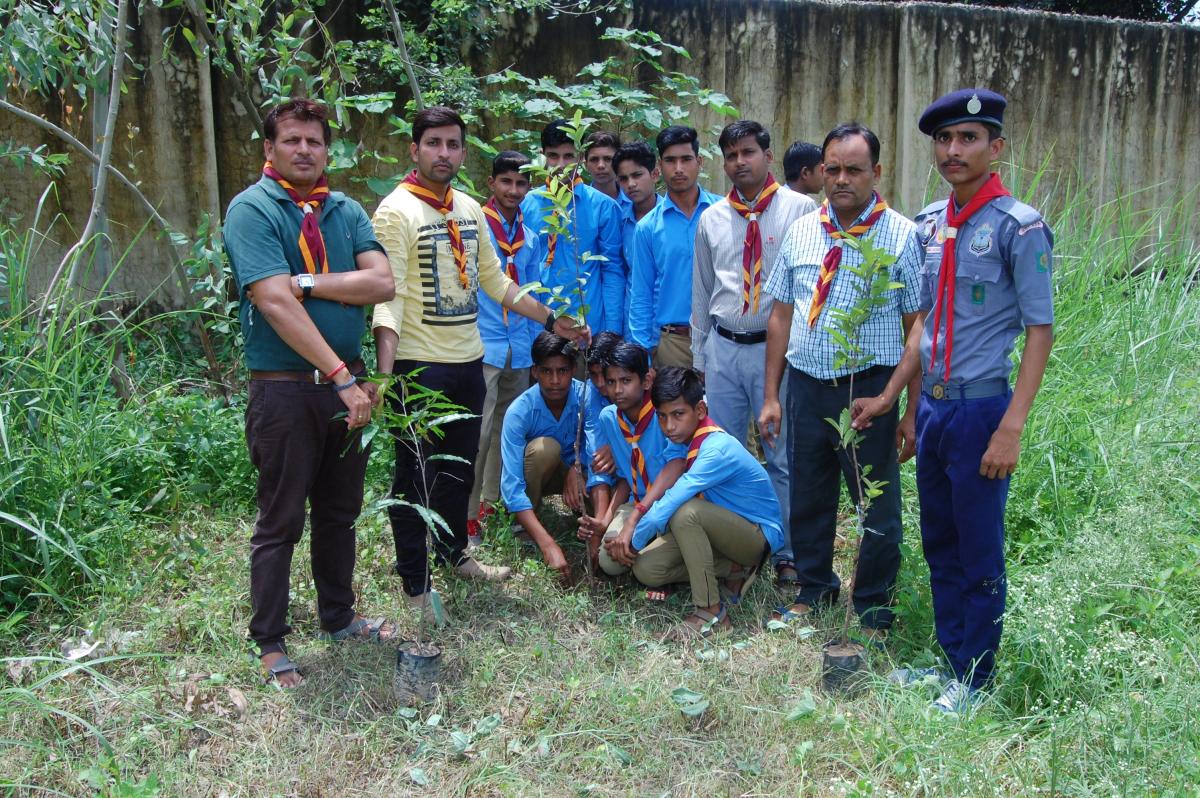 Save Tree By- Aneesh Kumar