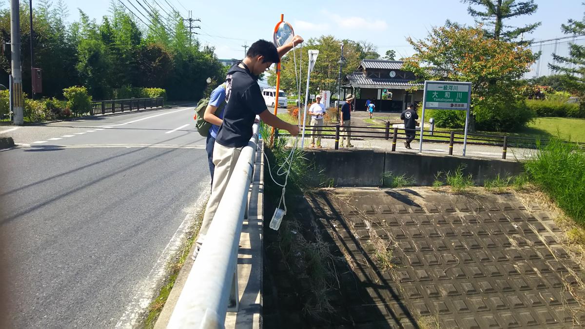 Water quality inspection