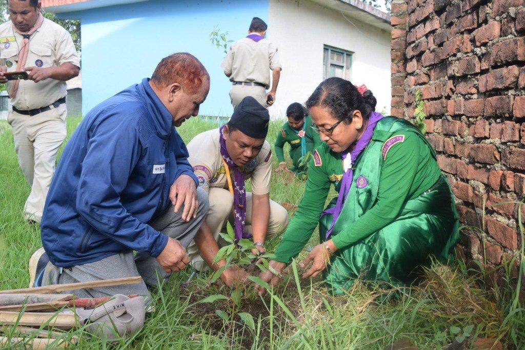 Green city for plantation 