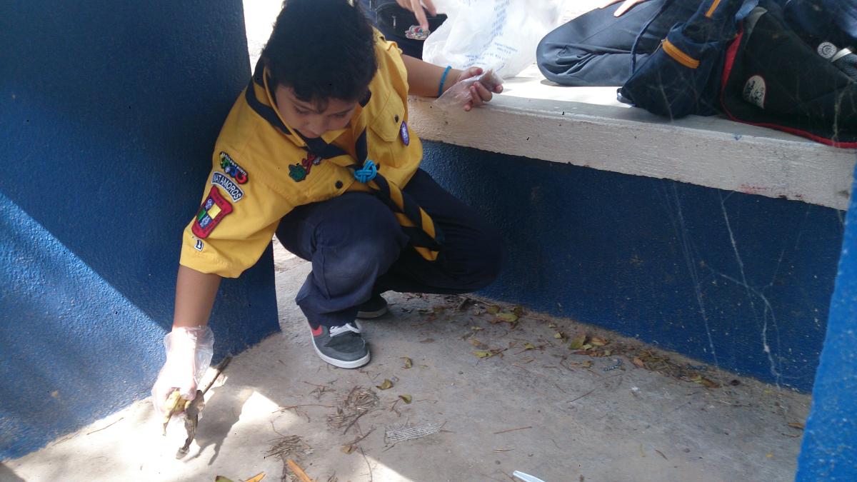 Buena accion a tu comunidad (limpieza de parque chapoteadero)