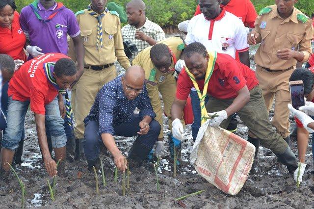 Mangrove Rehabilitation Project