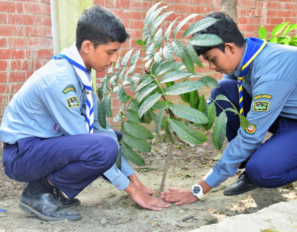 Tree Plantation Programme 