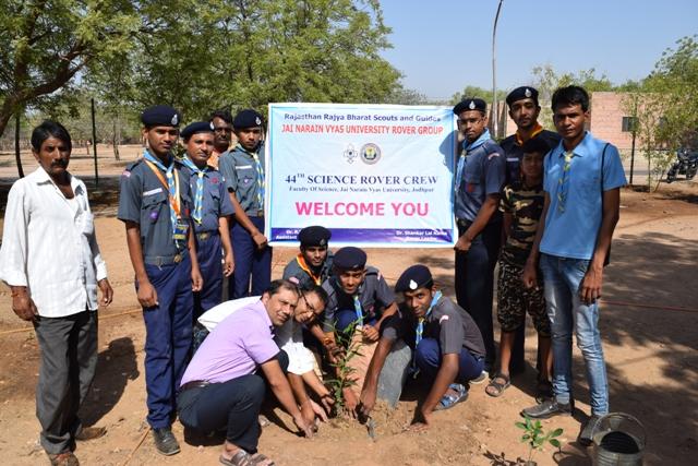 Plantation on Environment Day 2016