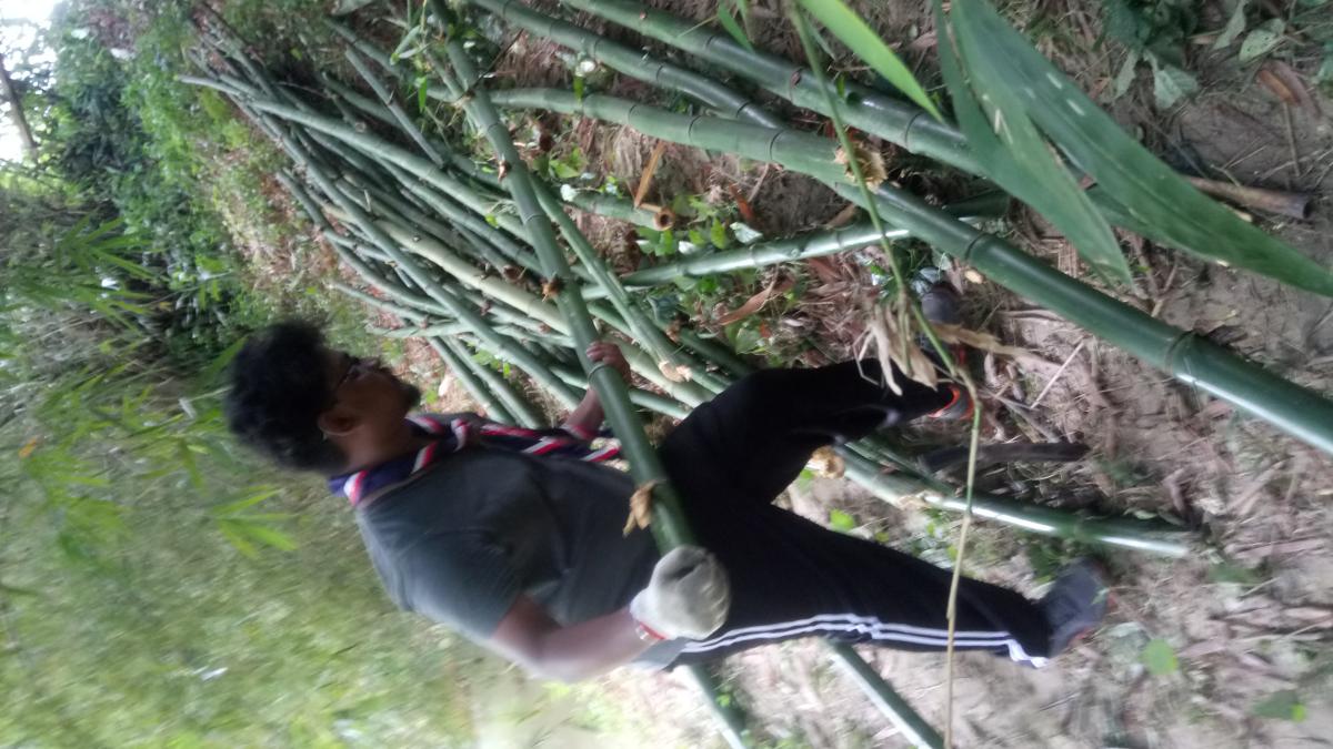 PEMOTONGAN BULUH