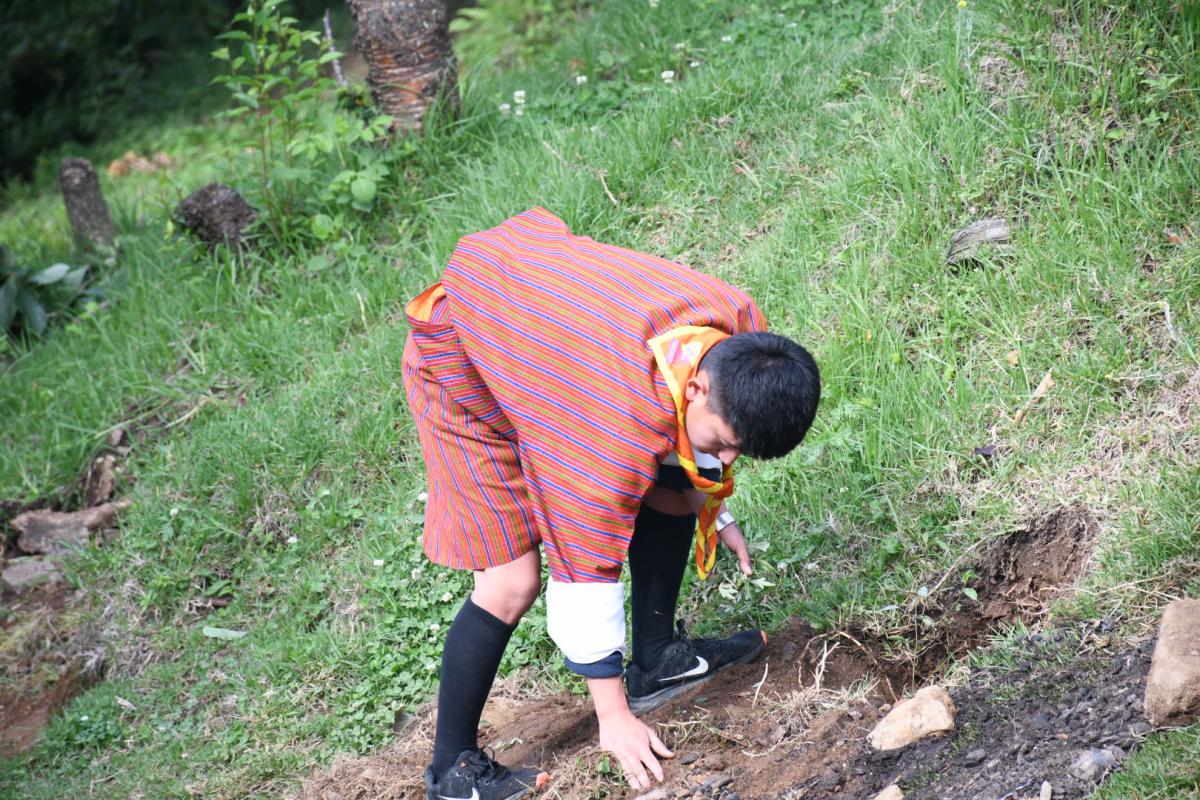 Social forestry day