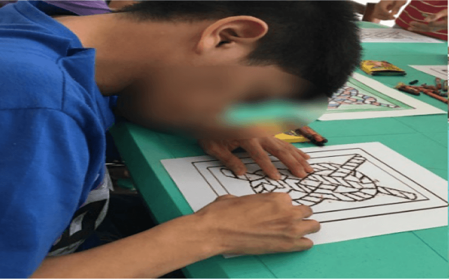 RCI-Rodriguez: SWA Voluntary Service - Sixteenth Service