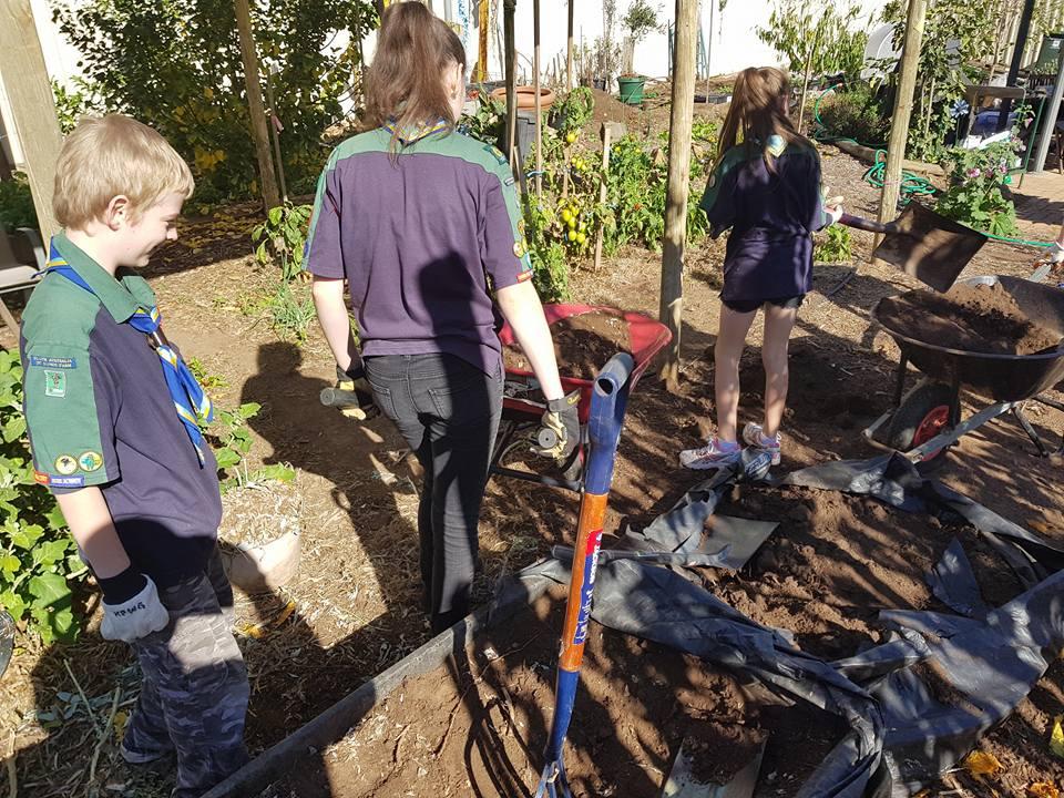 Manor Farm Scouts help Kilburn Community Garden!