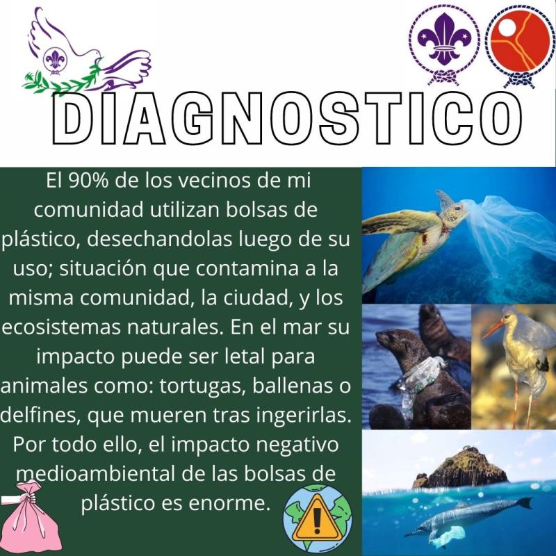 "Ecológicamente Sostenible" Un aporte para el equilibrio de la naturaleza…