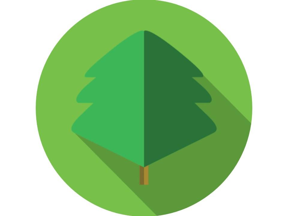 Environmental Project- "Un árbol para la vida"