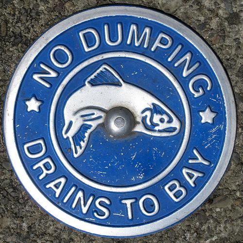 Coastal Cleanup Day 2015