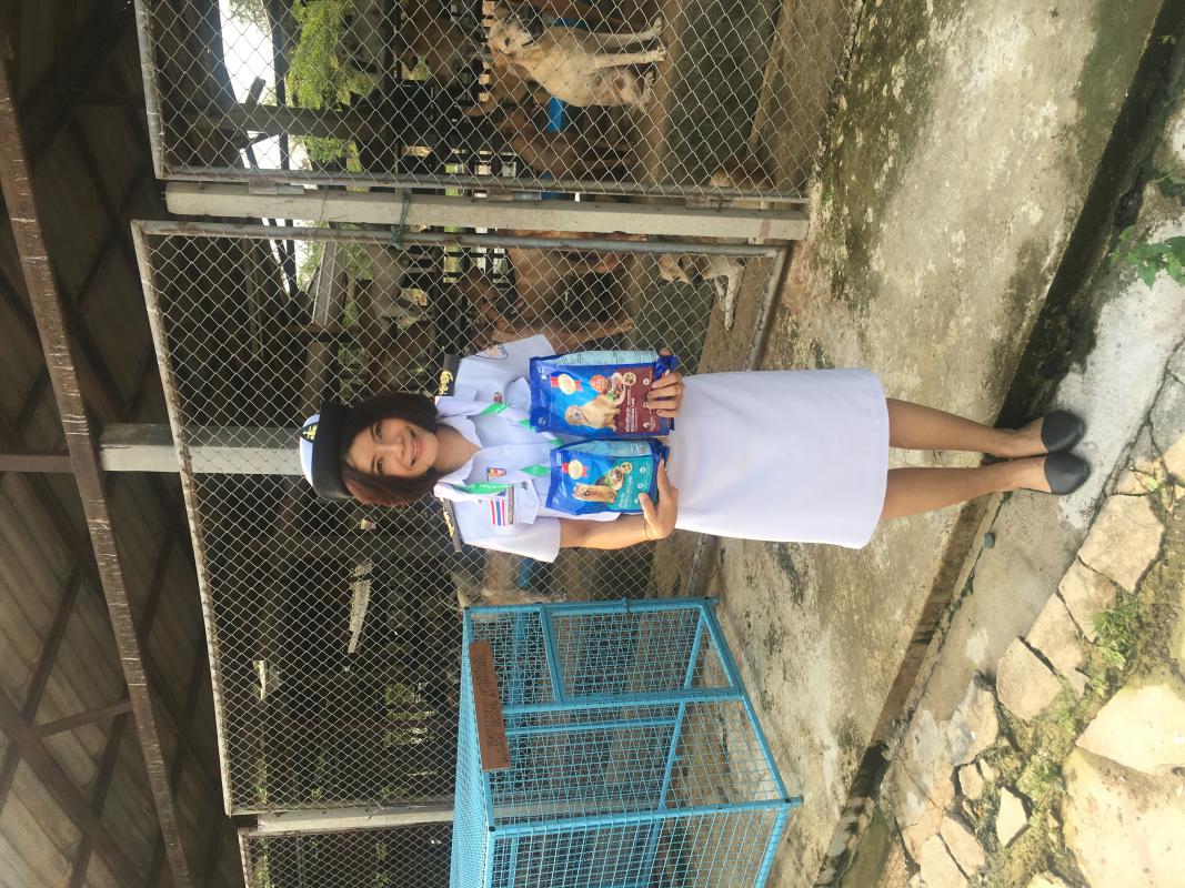 บริจาคอาหารสุนัข