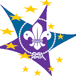 Drafting 6 policy papers for the European Scout Region External Relations