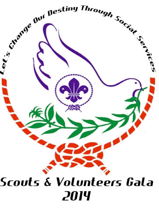 All Pakistan Scouts / Volunteers Gala-2014 by GC University, Lahore