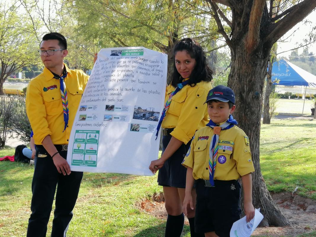 Mares Limpios Bronce y Plata