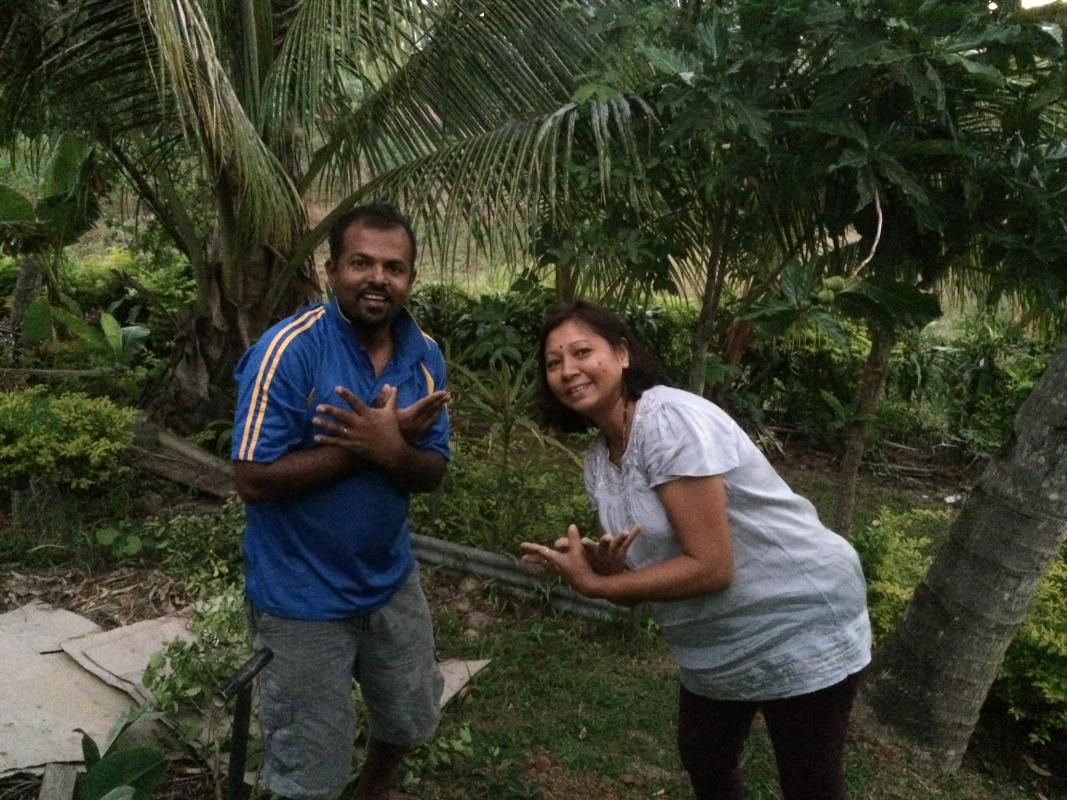 Plant a Tree for Peace