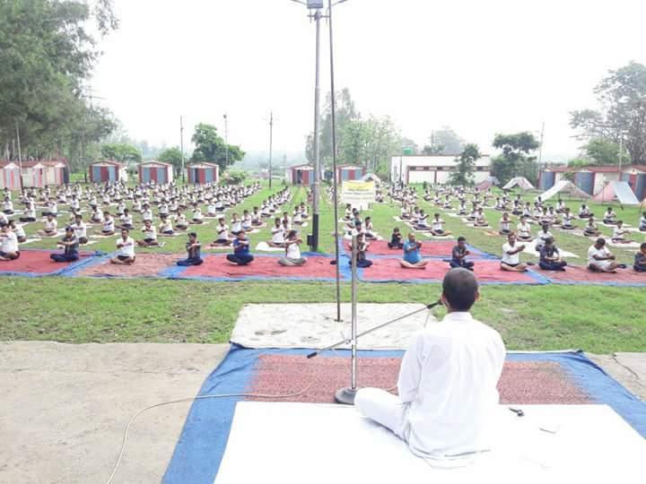 International yoga day 2016