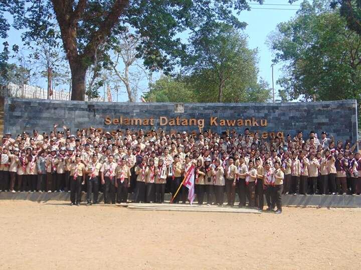 scout