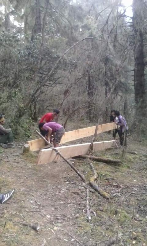 Community service 