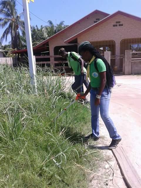 wild life scouts