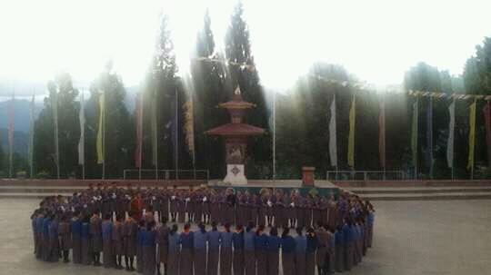 scouting