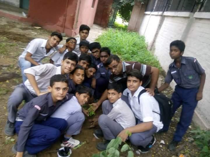 Tree plantation 