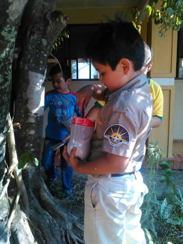 Protegiendo Arboles y Plantas
