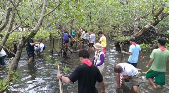 Planting Mangrove