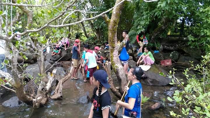 Mangrove planting