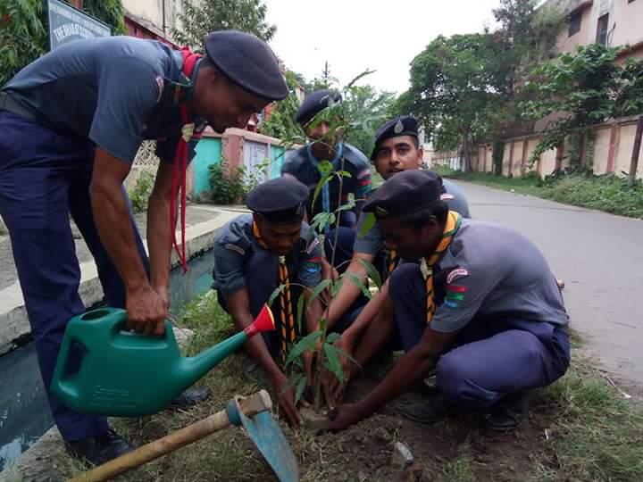 Preservation of Greenery 