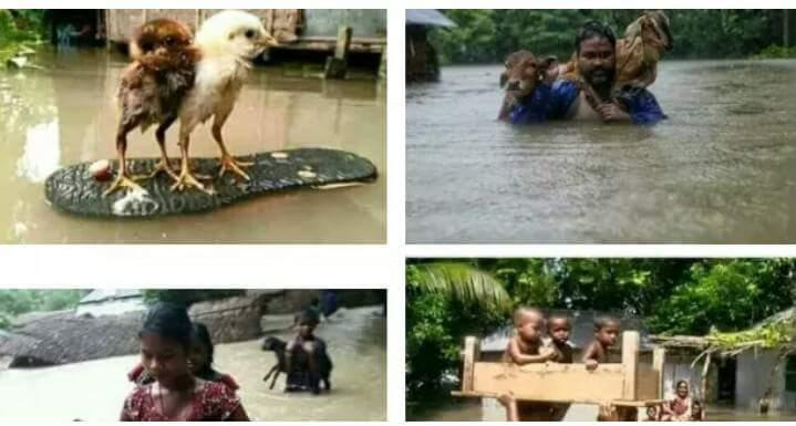 Flood resque and relif nepal