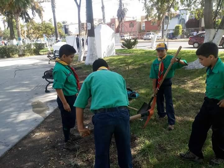 Reforestación Parque Centenario - YUNGA - Grupo 21 VINAC Tijuana B.C. México
