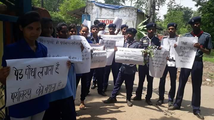 environment day 5 June 2017