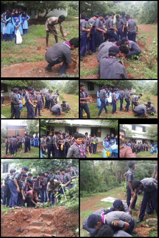 Ensure environmental sustainability