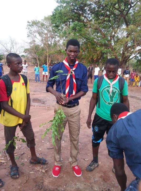 Atténuation des effets du changement climatique