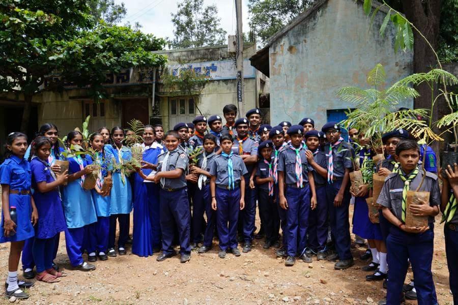 Environment day