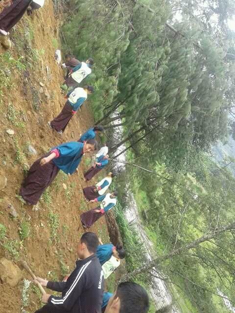 contribution to environment 