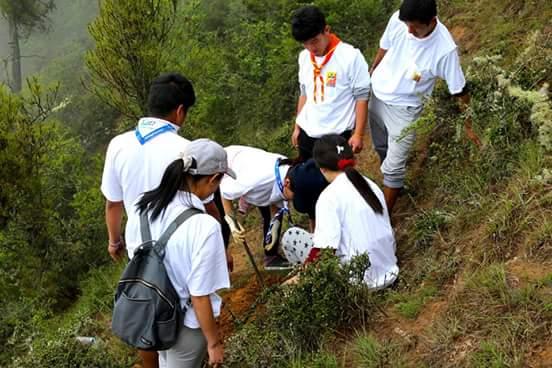 Planting trees for Future 