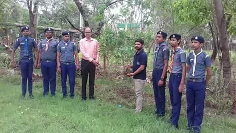 "tree plantation"