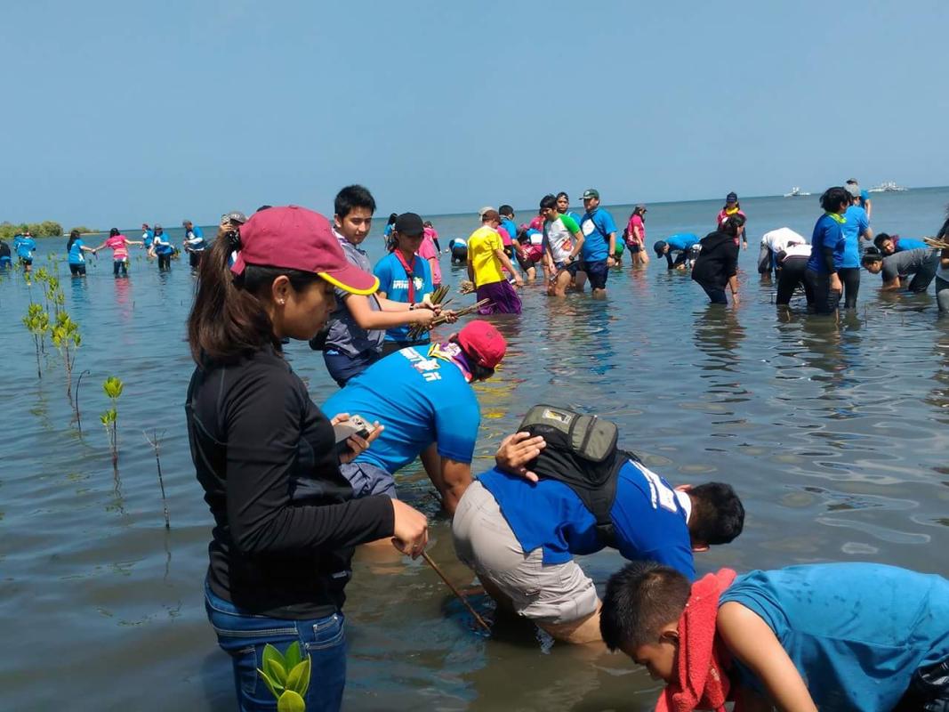 BV1012 Mangrove Planting @Calatagan, Batangas
