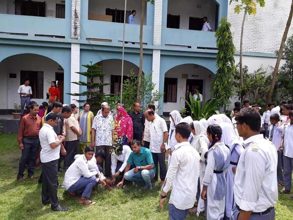 বিদ্যালয়ে বৃক্ষ রোপণ কার্যক্রম
