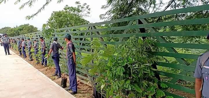 TREE PLANTATION 